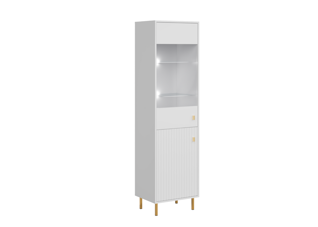 PIANO Cabinet REG1D