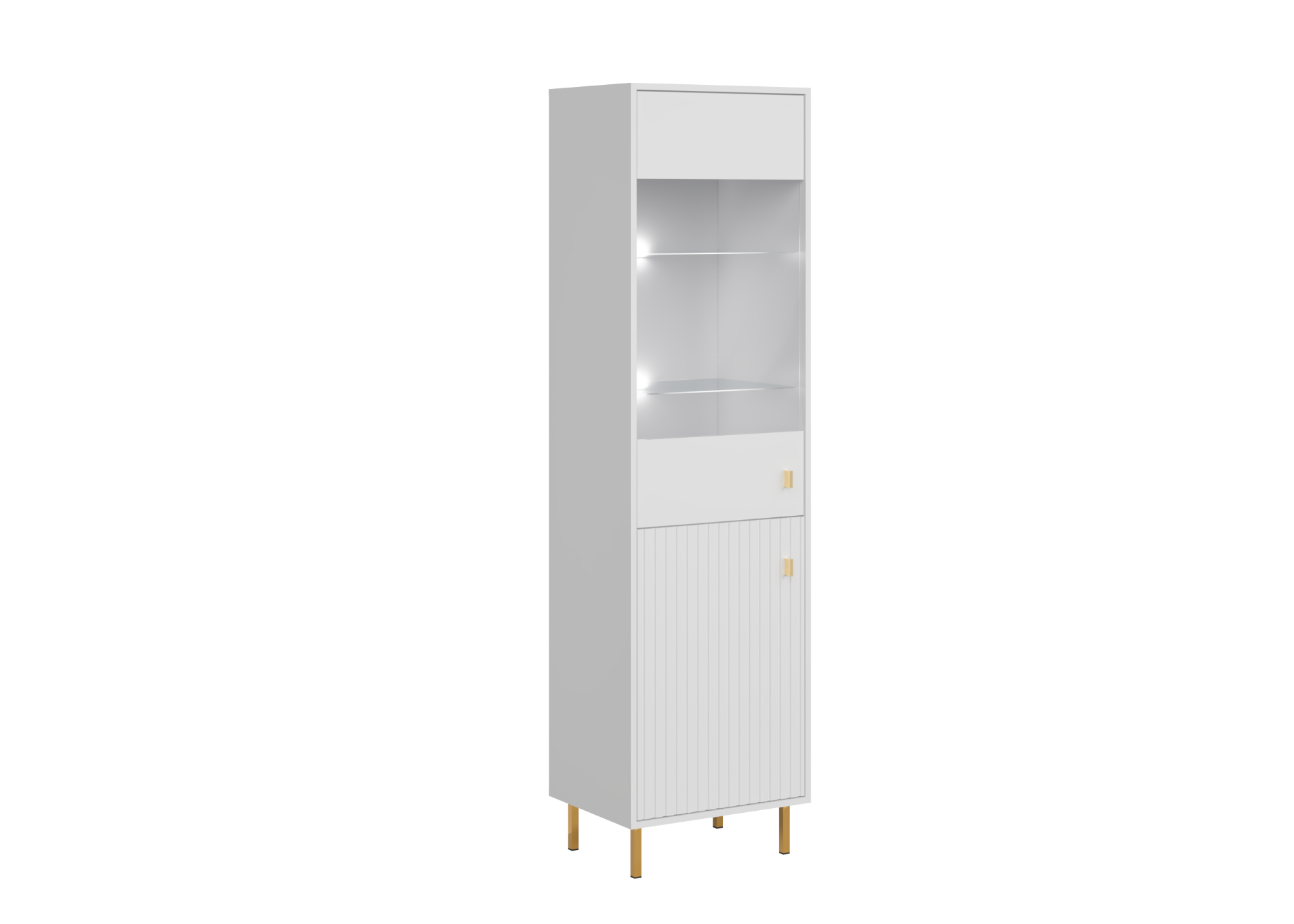 PIANO Cabinet REG1D