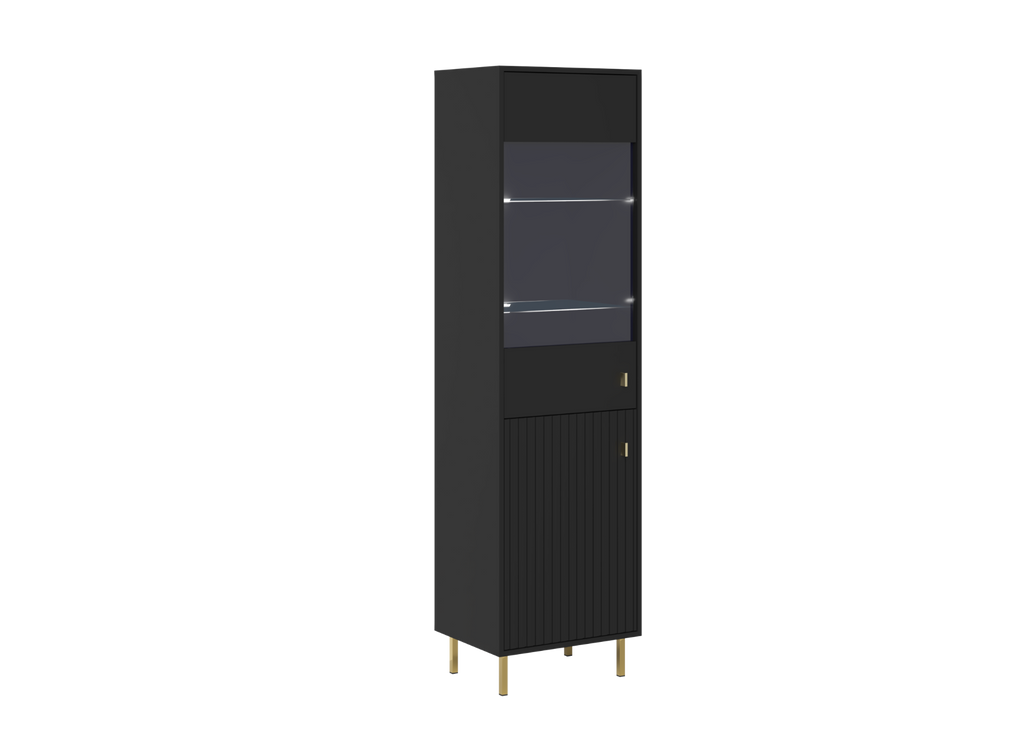PIANO Cabinet REG1D