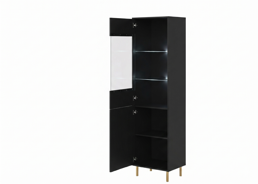 PIANO Cabinet REG1D