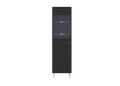PIANO Cabinet REG1D