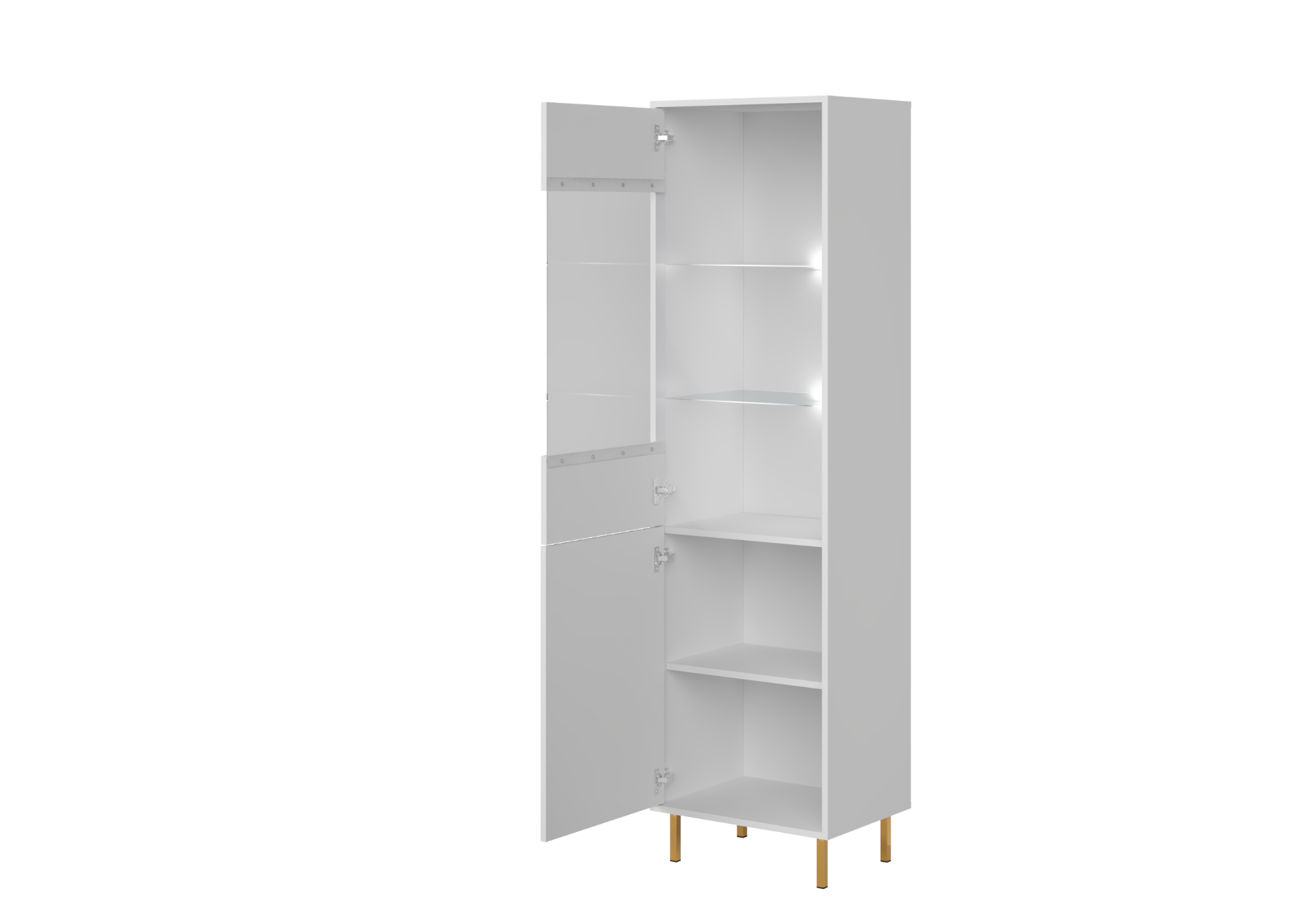 PIANO Cabinet REG1D
