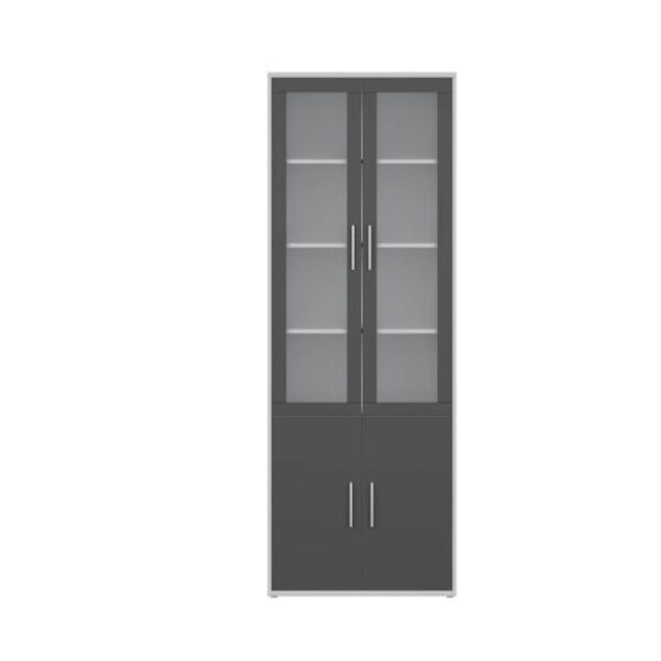 Kabi system: glass-fronted cabinet_REG2W2D/79/220