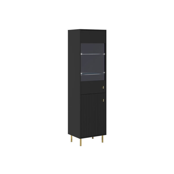 PIANO Cabinet REG2D (Black)