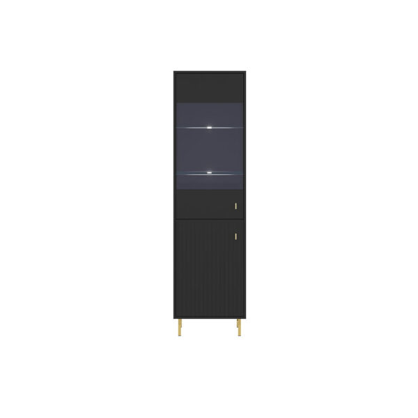 PIANO Cabinet REG2D (Black)